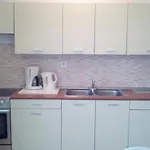 Neva Apartment *